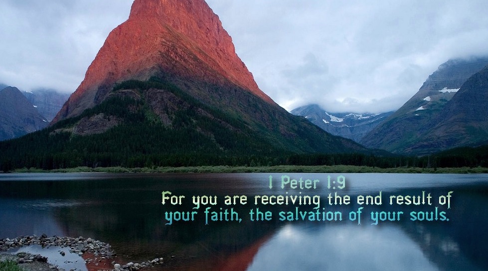 Chosen by God: 1 Peter Study on the Elect